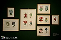 VBS_1338 - Castello di Miradolo - Mostra Oltre il giardino l'Abbecedario di paolo Pejrone